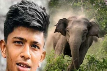 காட்டு யானையால் பறிபோன உயிர்