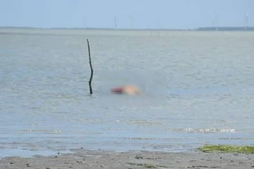 நுரைச்சோலை கடற்கரைப் பகுதியில் பெண்ணொருவரின் சடலம் - கொலையா...!