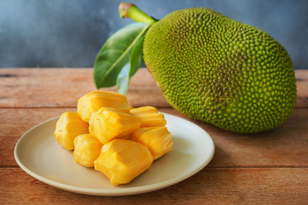 பலாப்பழத்தால் இலங்கை படைக்கவுள்ள சாதனை! | An Achievement To Create With Jackfruit