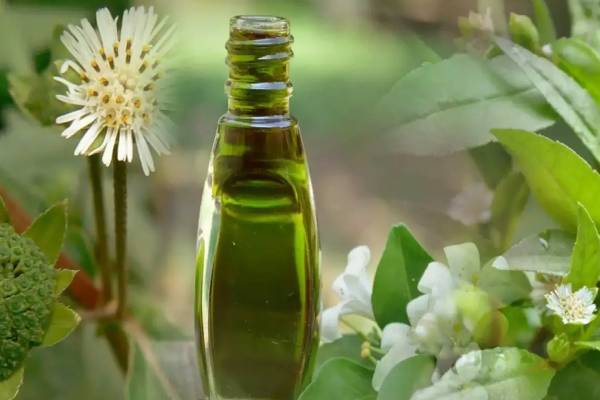 ஆயுர்வேத நிபுணரின் விளக்கம் - முடி வளர்ச்சியை தூண்டும் எண்ணெய்கள் | Ayurvedic Expert Reveals Best Oil For Hair Growth