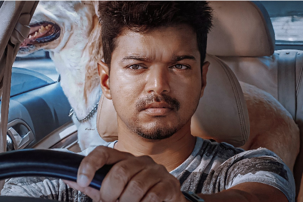 இதுவரை விஜய் வாங்காத விருதின் விழாவில் கலந்து கொண்டு யாருக்கு விருதை வழங்கினார் தெரியுமா?