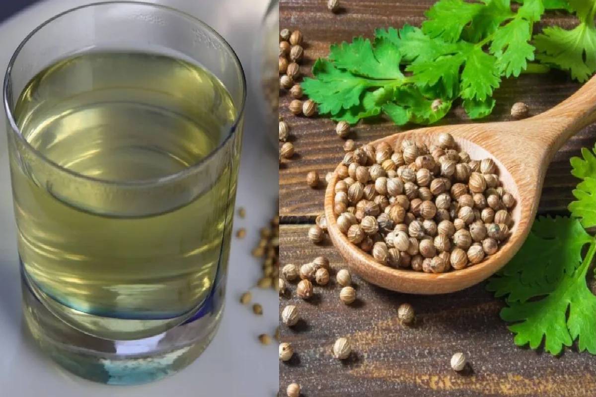 காலையில் வெறும் வயிற்றில் கொத்தமல்லித் தண்ணீர் குடிப்பதன் பயன் இவவளவா? | Benefits Of Drinking Coriander Seeds Water