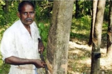 ஒரே ஒரு நொடியில் ராஜ வாழ்க்கை கிடைத்தது: லொட்டரியில் எத்தனை கோடி பரிசு தெரியுமா?