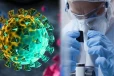 ஆபத்து.. 8 புதிய வைரஸ்கள் கண்டுபிடிப்பு, வீரியம் அதிகமா? - விஞ்ஞானிகள் எச்சரிக்கை!