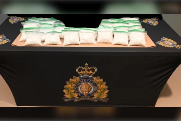 நியூ பிரன்சுவிக்கில் பெருமளவு போதை மாத்திரைகள் மீட்பு