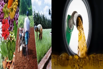 விவசாயிகளுக்கு இலவசமாக வழங்கப்படவுள்ள டீசல் - நாளை முதல் விநியோகம்!