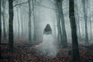 பின்தொடர்ந்து வந்து தன் காதலைக் கூறிய ஆன்மா...நம்ப முடிகின்றதா?