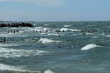 ஹமாஸ் விடுத்த கோரிக்கை : உடனடியாக நிராகரித்த அமெரிக்கா