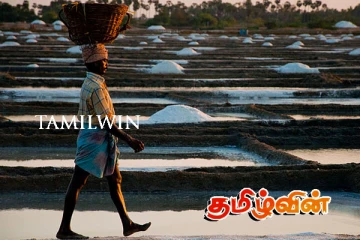 உப்பு இறக்குமதிக்கு அனுமதி கோரும் தனியார் நிறுவனங்கள்