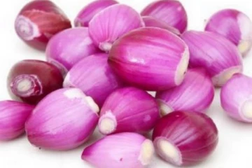 வெங்காயத்தை பச்சையாக சாப்பிடலாமா? சாப்பிட்டால் என்ன நடக்கும்...