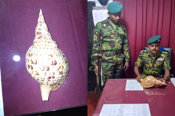 கோடிக்கணக்கான பெறுமதியுடைய வலம்புரி சங்குடன் சந்தேகநபர் கைது (Photos)