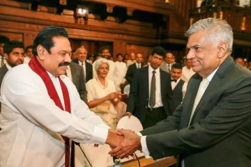 மகிந்த ராஜபக்சவிடம் ஆதரவு கோரிய ரணில்