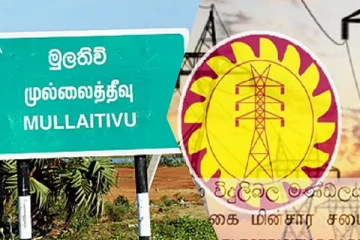 முல்லைத்தீவில் மின்சார சபையினரின் பொறுப்பற்ற செயலால் பாதிக்கப்படும் விவசாயச் செய்கை
