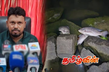 வவுனியா - பேராறு நீர்த்தேக்க மீன்களை உண்பதை உடன் தவிர்க்கவும்! விடுக்கப்பட்டுள்ள எச்சரிக்கை
