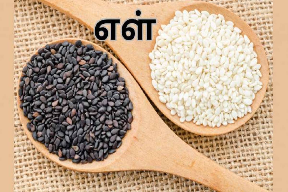 கறிவேப்பிலையில் மறைந்துள்ள நன்மைகள் என்னென்ன தெரியுமா? | Do You Know The Hidden Benefits Of Curry Leaves