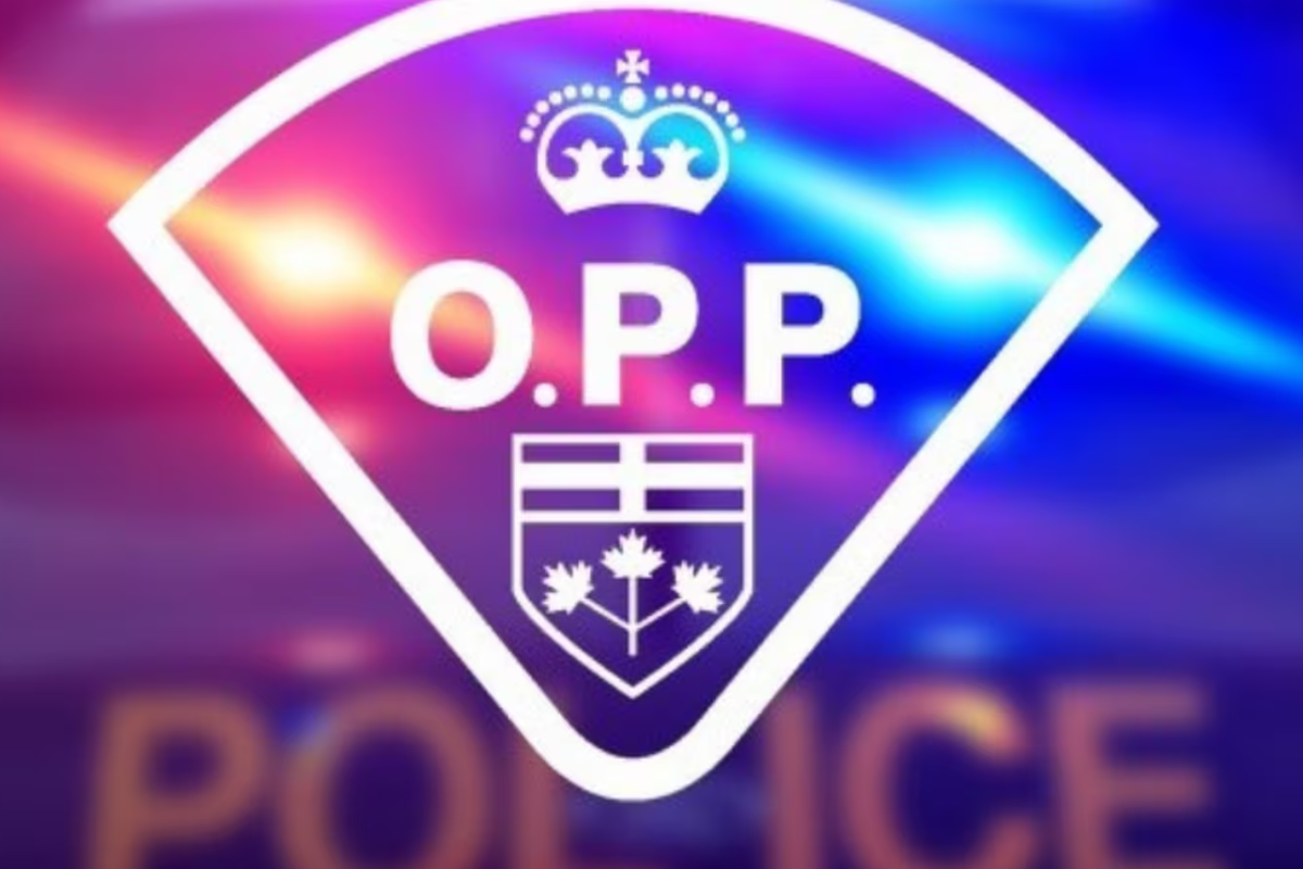 கனடாவின் ஒன்டாரியோ மாகாணத்தில் 11 பள்ளிகளுக்கு குண்டு மிரட்டல் | Bomb Threats Close 11 Schools In Northwestern Ont