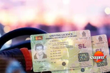 මෙහෙම කළොත් ලයිසන් එක කැන්සල් - රියදුරන්ට නව නීතියක්