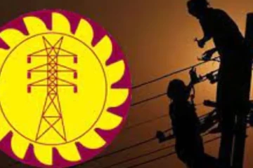இலங்கை மின்சார சபைக்கு 8 கோடி ரூபா நஷ்டம் !