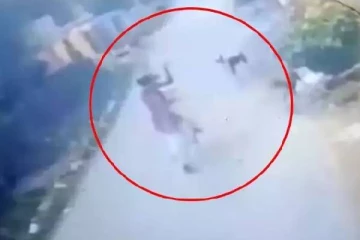 மீண்டும் அரங்கேறிய கொடூரம்..சிறுமியை கடித்து குதறிய வளர்ப்பு நாய் - பரபரப்பு சம்பவம்!