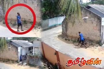 யாழில் தனியார் கல்வி நிலையத்தில் நிறுத்தி வைக்கப்பட்ட துவிச்சக்கர வண்டி திருட்டு!