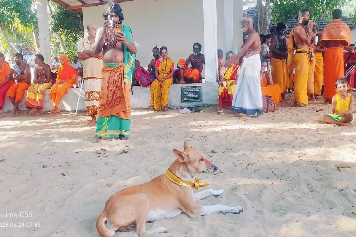 பாதயாத்திரையாக கடந்து வரும் சுப்பிரமணி எனும் நாய்க்கு அனுமதி மறுப்பு.! | Permission Denied For The Dog Named Subramani பாதயாத்திரையாக கடந்து வரும் சுப்பிரமணி எனும் நாய்க்கு அனுமதி மறுப்பு.! | Permission Denied For The Dog Named Subramani