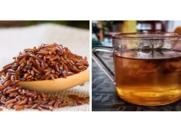 ஜப்பானியர்களுக்கு அதிசயம் செய்யும் அரிசி டீ! எப்படி தயாரிக்கணும்... நீரிழிவு நோயாளிகள் அருந்தலாமா?