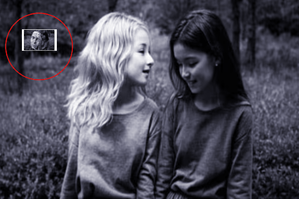 படத்தில் இரண்டு பெண்களை தவிர மூன்றாவது முகத்தை கண்டுபிடிக்க முடியுமா? | Can You Spot Hidden Third Face In The Image