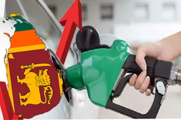 அதிரடியாக உச்சத்தை தொடும் எரிபொருள் விலை