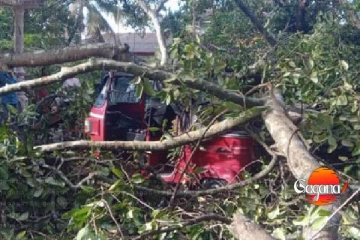 සුළග නිසා ත්‍රීරෝද රථ දෙකට වුණ හානිය.