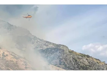 ஒரு சிலந்தியை கொல்ல வாலிபர் எடுத்த அதிர்ச்சி முடிவு... ஒட்டுமொத்த இடமும் பற்றி எரிந்த சம்பவம்;