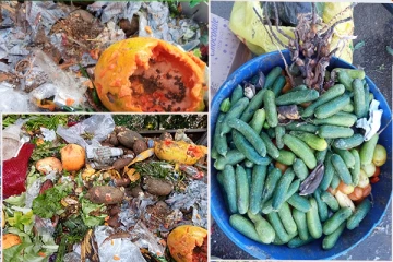 நுவரெலியா - நானுஓயாவில் குப்பைக்கு செல்லும் அதிக மரக்கறிகள்