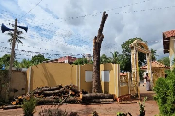 யாழ். மக்களின் எதிர்ப்பால் மரத்தினை வெட்டும் பணியை நிறுத்த கோரிக்கை