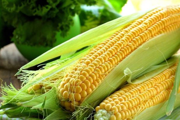 நேற்றிரவு முதல் நடைமுறைக்கு வரும் வகையில் குறைக்கப்பட்டுள்ள இறக்குமதி வரி | Import Duty On Maize Has Been Reduced
