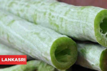 சர்க்கரை நோயின் அளவு குறைய இந்த காயை கூட்டு வைத்து சாப்பிட்டதால் நன்மை கிட்டும்!