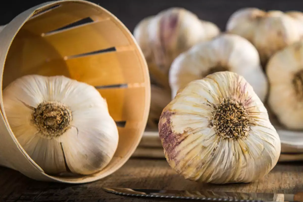 பூண்டை ஓவரா சாப்பிட்டாலும் ஆபத்துதானாம்; இனி சாப்பிடாதிங்க! | Eating Too Much Garlic Is Dangerous Side Effects