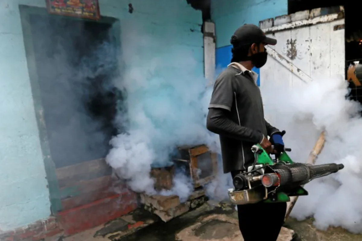 டெங்கு நோயின் தீவிரத்தன்மை.. உடன் அழைப்புக்களுக்கு அரசாங்கத்தின் விசேட இலக்கம் | Dengue Emergency Contact Number Govt