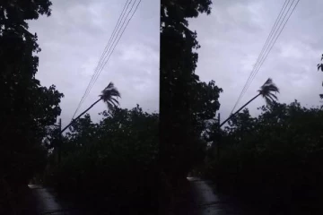 யாழில் திடீரென சுழற்றி அடித்த காற்று! மக்களுக்கு விடுத்துள்ள அறிவிப்பு