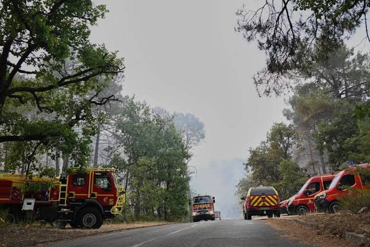 பாரிஸில் காட்டுத்தீ: போக்குவரத்து முடக்கம் | Wildfire In Paris Transport Disrupted
