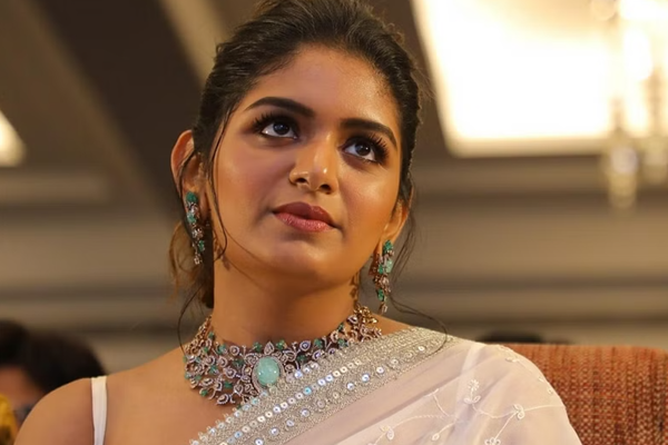 திருமணமாகி 3 மாதத்தில் பிரிவு - மகள்களை நினைத்து சங்கடத்தில் இயக்குநர் சங்கர்! - தமிழ்நாடு