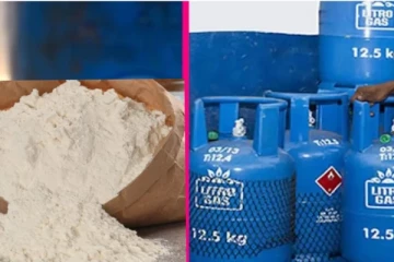 ගෑස් මිලත් අඩු කරයි..රුපියල් 210ට තිරිඟු පිටි මිලත් බස්සයි?..