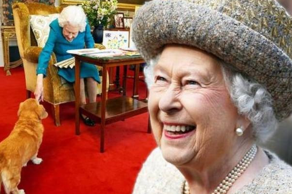 அதிர்ச்சி…ராணி இறப்பதற்கு சில நாட்களுக்கு முன் அவர் மனதை சுக்குநூறாக்கிய ஒரு மரணம்! | Dog Candy Dies Before Queen Dies