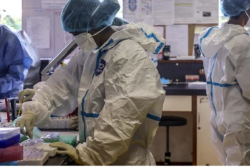 இலங்கையில் புதிய வைரஸ் பரவும் ஆபத்து?