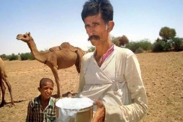 நீரிழிவு நோயை குணப்படுத்தும் ஒட்டகப்பால்- ஆராய்ச்சியாளர்களின் தகவல்!