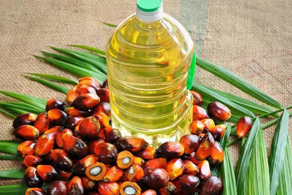 இந்த 5 எண்ணெய்களை சமையலுக்கு பாவிக்கவே கூடாதாம் | These 5 Oils Should Never Be Used For Cooking