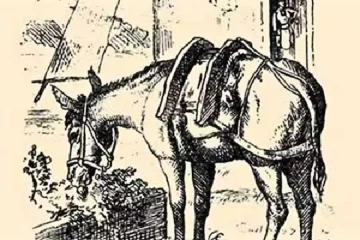 optical illusion: படத்தில் இருக்கும் மனிதனை ஐந்து நொடிக்குள் கண்டுபிடிக்க முடியுமா?