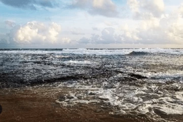 නාරිගම වෙරළ තෙල් තට්ටු සිද්ධිය ගැන පරීක්ෂණ ඇරඹේ