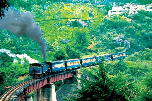 மிதிவண்டியை விட மெதுவாக செல்லும் ரயில் - தமிழ்நாட்டில் எங்கே உள்ளது தெரியுமா? | India Slowest Train Nilgiris Express In Tamil Nadu