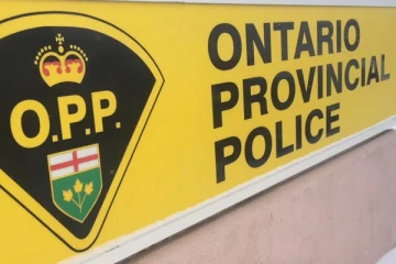 3 நாய்களை கருணைக்கொலை செய்ய அனுமதி அளித்த ஒன்ராறியோ நீதிமன்றம்