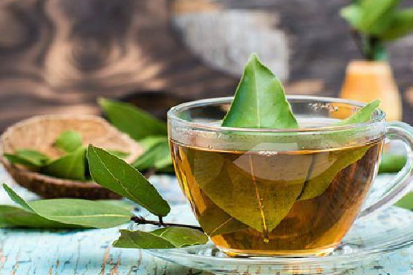 சிறுநீரக பிரச்னையை சரி செய்யும் பிரியாணி இலை | Biryani Leaves Cure Kidney Problems