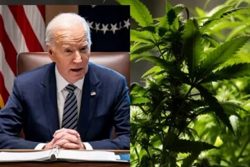 அமெரிக்காவில் கஞ்சாவை பயன்படுத்த தடை இல்லையா? ஜோ பைடன் அரசு முன்மொழிவு